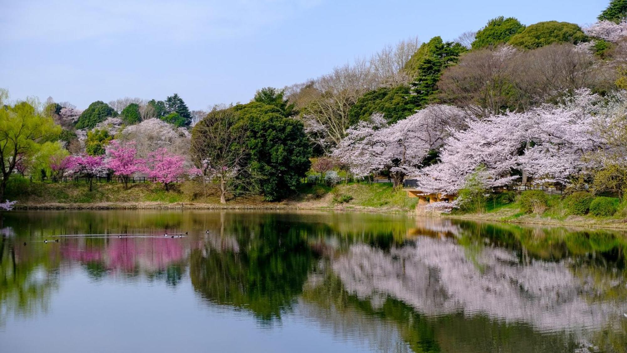 Toyoko Inn Yokohama Tsurumi Eki Higashi Guchi Dış mekan fotoğraf